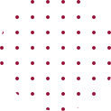 Beeinstein - Purple dot shape, progress
